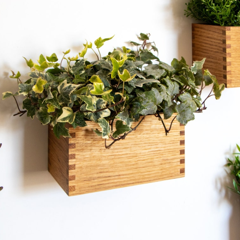 Magnetic Oak Wood Planter – Wall-Mounted Herb & Flower Pot | 20 × 11 × 11 cm