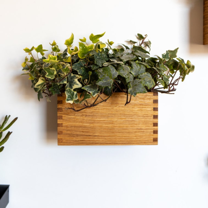 Magnetic Oak Wood Planter – Wall-Mounted Herb & Flower Pot | 20 × 11 × 11 cm