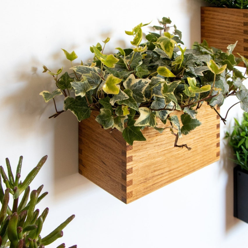 Magnetic Oak Wood Planter – Wall-Mounted Herb & Flower Pot | 20 × 11 × 11 cm